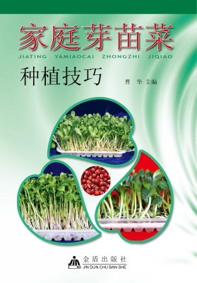 家庭芽苗菜种植技巧