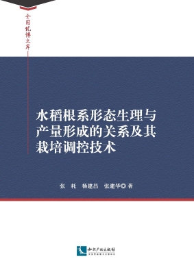 水稻根系形态生理与产