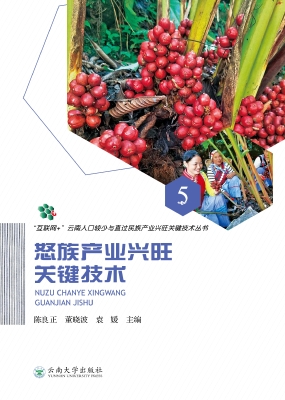 怒族产业兴旺关键技术