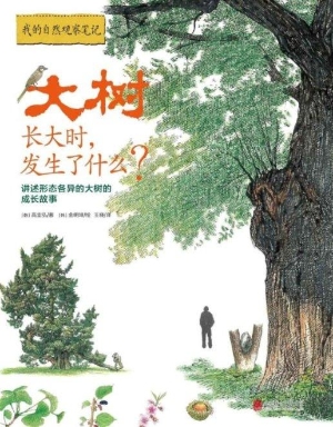 大树长大时，发生了什么