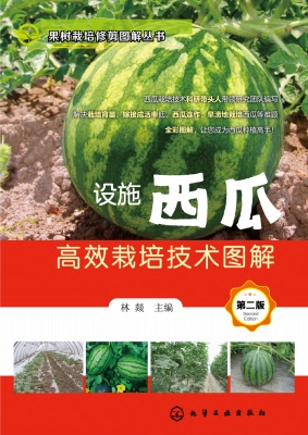 设施西瓜高效栽培技术