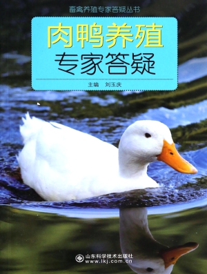 肉鸭养殖专家答疑