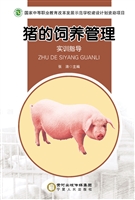 猪的饲养管理