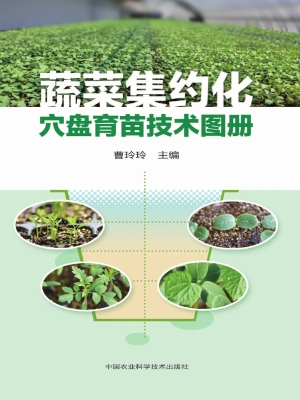 蔬菜集约化穴盘育苗技