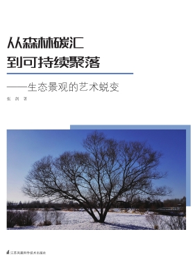 从森林碳汇到可持续聚