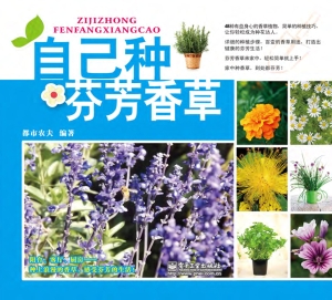 自己种芬芳香草