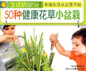 50种健康花草小盆栽