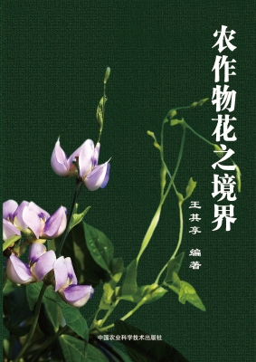 农作物花之境界