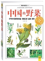 中国的野菜