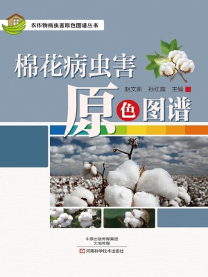 棉花病虫害原色图谱