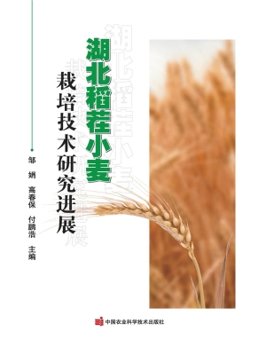 湖北稻茬小麦栽培技术