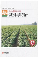 马铃薯病虫害识别与防