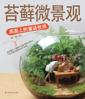 苔藓微景观——桌面上