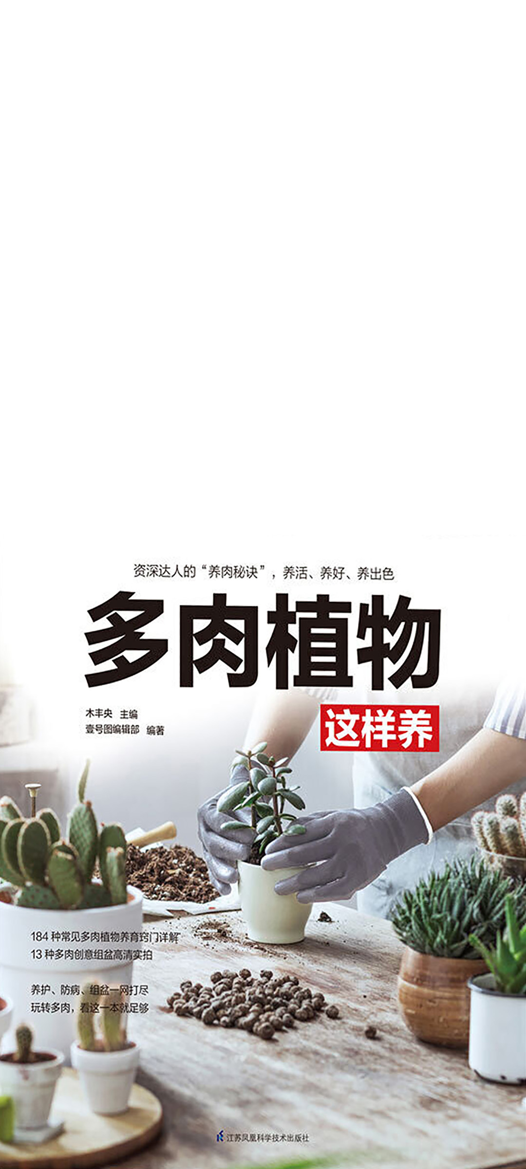 多肉植物这样养