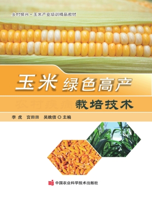 玉米绿色高产栽培技术