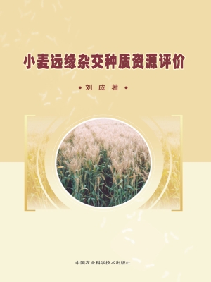 小麦远缘杂交种质资源