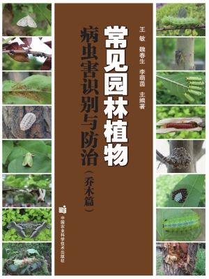 常见园林植物病虫害识