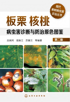 板栗 核桃病虫害诊断