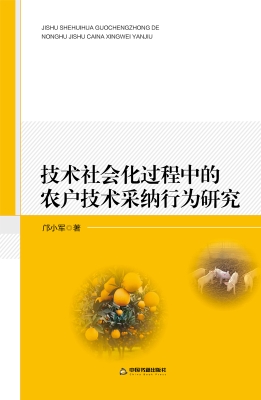 技术社会化过程中的农