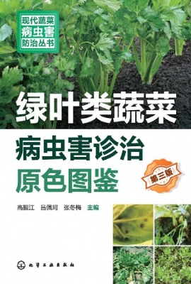 绿叶类蔬菜病虫害诊治