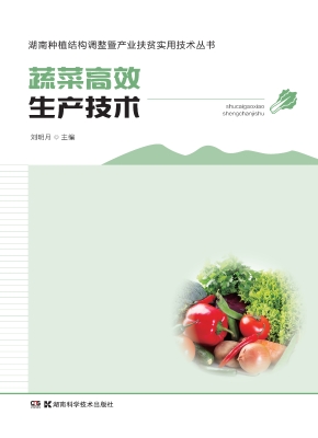 蔬菜高效生产技术
