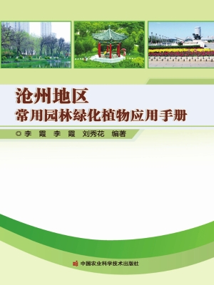 沧州地区常用园林绿化