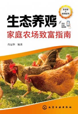 生态养鸡家庭农场致富