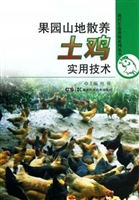 果园山地散养土鸡实用