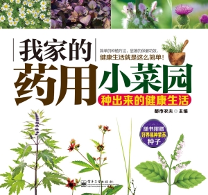 我家的药用小菜园——