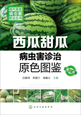 西瓜甜瓜病虫害诊治原