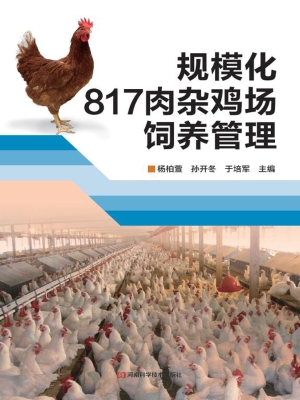 规模化817肉杂鸡场饲