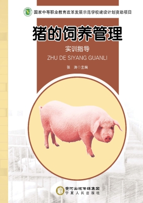 猪的饲养管理