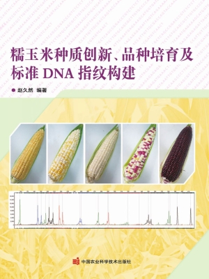 糯玉米种质创新、品种