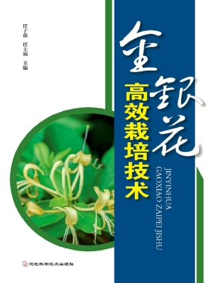 金银花高效栽培技术