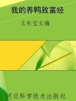 我的养鸭致富经