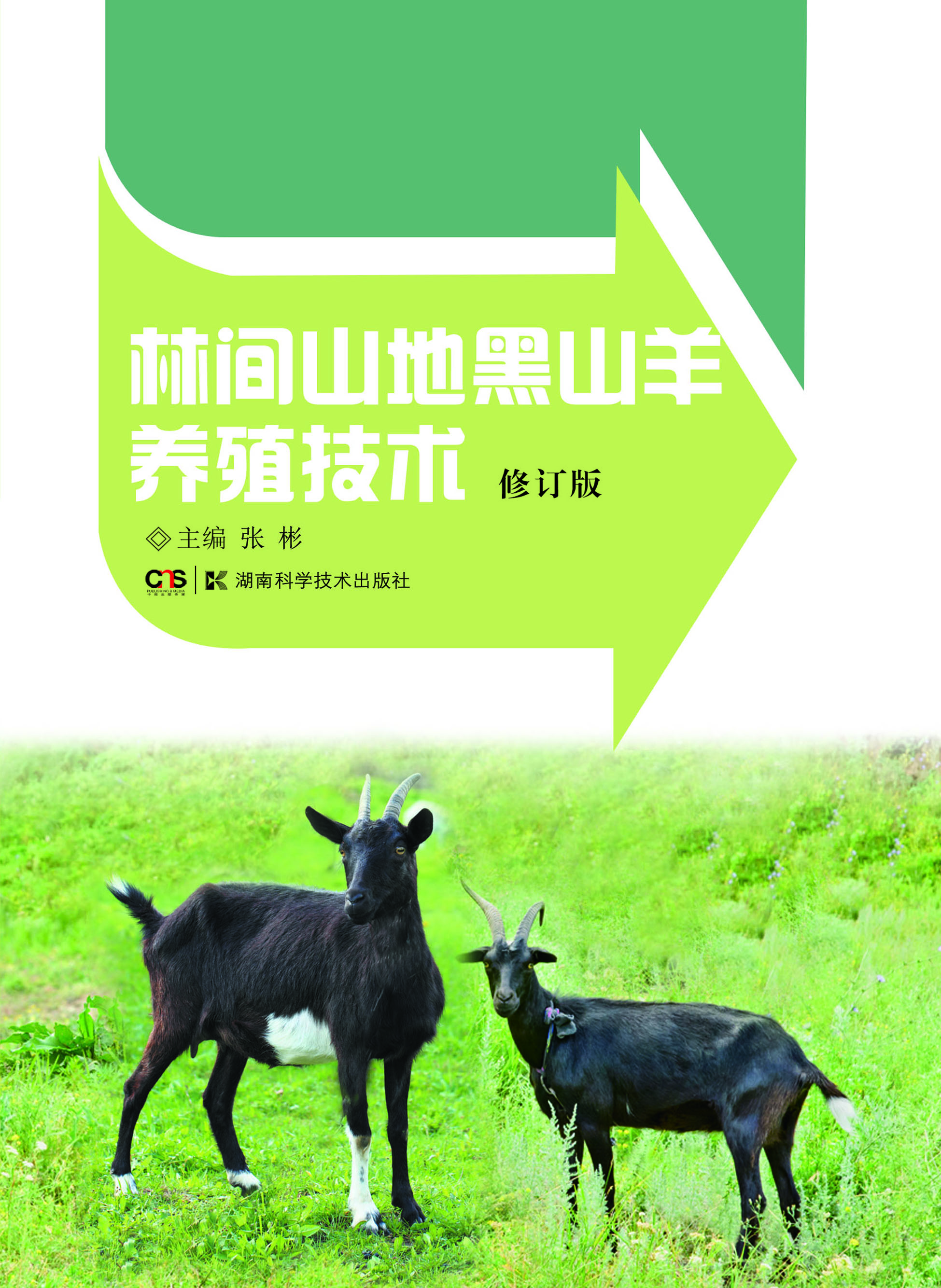 林间山地黑山羊养殖技