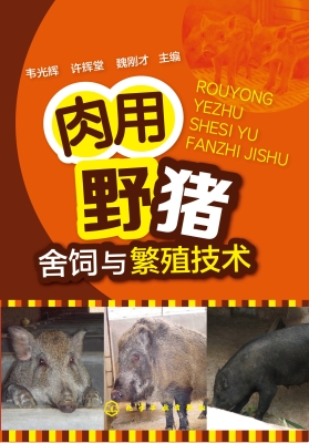 肉用野猪舍饲与繁殖技