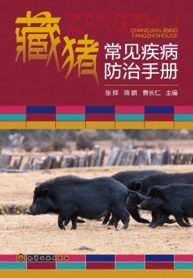 藏猪常见疾病防治手册