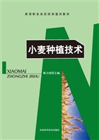 小麦种植技术