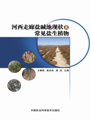 河西走廊盐碱地现状及