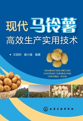 现代马铃薯高效生产实
