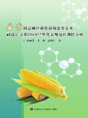 玉米耐盐碱种质资源筛
