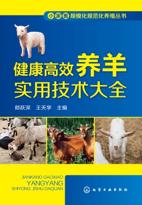 健康高效养羊实用技术