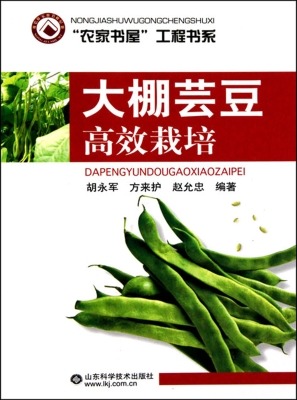 大棚芸豆高效栽培