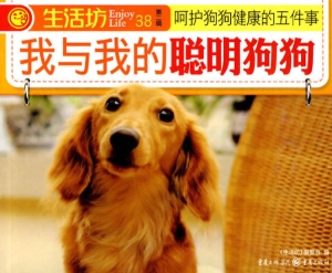 我与我的聪明狗狗