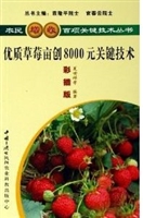 优质草莓亩创8000元关