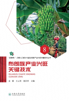 布朗族产业兴旺关键技
