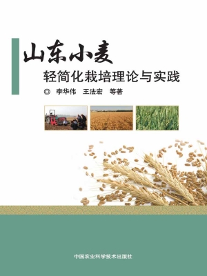 山东小麦轻简化栽培理