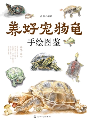 养好宠物龟手绘图鉴