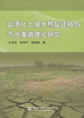 盐渍化土壤水热盐迁移